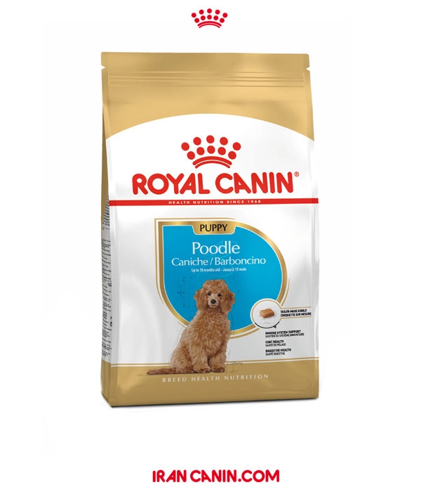 غذای خشک سگ پودل پاپی رویال کنین Royal canin وزن 3 کیلوگرم